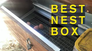 Best Chicken Nest Box - No Dirty, Broken or Eaten Eggs (Review)