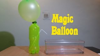 Balloon Magic (Physics Experiment) - Easy Tutorials