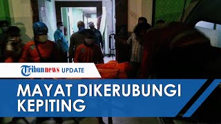 Warga Digegerkan Penemuan Mayat yang Dikerubungi Kepiting, Ibu Korban Sempat Kebingungan Mencari