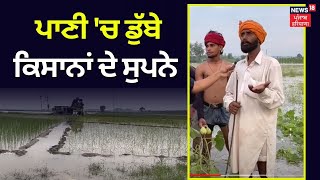 Punjab Flood News | ਪਾਣੀ 'ਚ ਡੁੱਬੇ ਕਿਸਾਨਾਂ ਦੇ ਸੁਪਨੇ | Beas | Amritsar News | Farmers | News18 Punjab