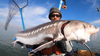 Catching a LIVING DINOSAUR from a Kayak