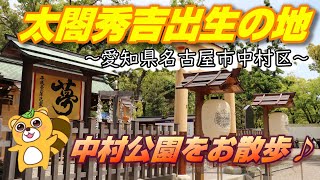 【　太閤秀吉　】巨大な鳥居の先にまつ、秀吉公誕生の地【　中村公園　】