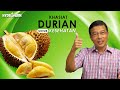 Khasiat Durian untuk Kesehatan