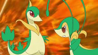 Pokemon Best Wishes Ep 10- Snivy~Tsutarja Defeats Servine~Janovy!!!