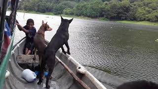 Suchitoto. Lago suchitlan