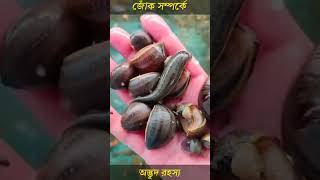 জোঁক সম্পর্কে অদ্ভুত রহস্য || Weird mystery about leeches ||