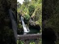 MAUI WATERFALL 💦🌈 #shorts #maui #hawaii #nature