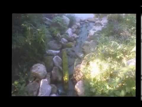 String algae removal in your pond using sodium percarbonate String algae removal in your pond using sodium percarbonate