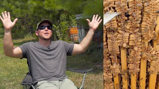 Supercharged Queen Cell Builders Cory Stevens Intervie Doovi