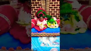 Joy Gobindo Hore Joy Nandlal🙏🙏🔱🕉💚🌿 #gopal #krishna #Gopu_Sona #shortsfeed #viral #shorts #radheradhe