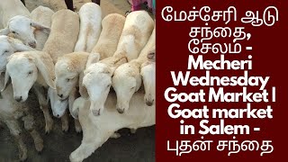 மேச்சேரி ஆடு சந்தை,  சேலம் | Mecheri Wednesday Goat Market | Goat market in Salem | புதன் சந்தை