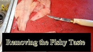 Removing the Fishy Taste from Catfish How to