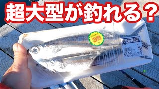 スーパーで買ったエサで超大型魚が釣れる？【奇跡の衝撃映像】