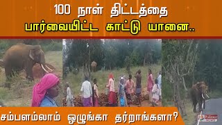 100 நாள் திட்டத்தை பார்வையிட்ட காட்டு யானை...