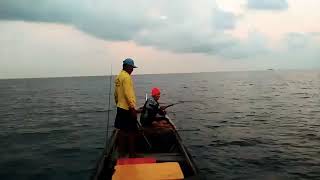 Biggest fish monsters queen fish talang talang