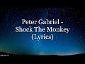 Peter Gabriel - Shock The Monkey (Lyrics HD)