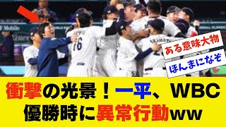 一平のWBC優勝時の異常行動に日本中が驚愕ww