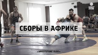 Подготовка атлетов к Олимпиаде — WRESTSTORE VLOG