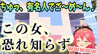 【みこめっと】有名人星街すいせいと観光大使さくらみこの久しぶりのマイクラが面白すぎるww