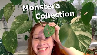 My Monstera Collection! | 8 Different Varieties!