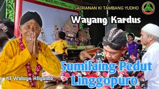 WAYANG KARDUS | SUMILAING PEDUT KERATON LINGGOPURO | KI WALUYO ALIYANTO | SADRANAN NAMBANGAN