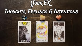 Your EX 💕 Their Thoughts, Feelings \u0026 Intentions 💕🔥 Pick A Card Love Reading