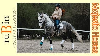 dance with a spanish horse | #FMA Majestic Horses