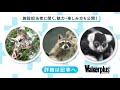 到津の森公園_紹介動画