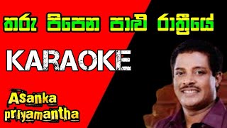 Tharu Pipena Palu rathriye #තරු පිපෙන පාළු රාත්‍රීයේ ) karaoke with lyrics |Asanka priyamantha peris