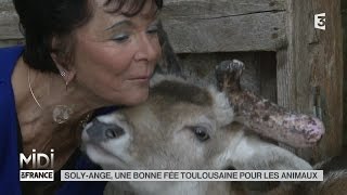 ANIMAUX : Soly-Ange, une bonne fée Toulousaine pour les animaux