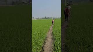 হালাল ভাবে ধনী হওয়ার দোয়া #bangladesh #video #আবু_ত্বহা_মুহাম্মদ_আদনান