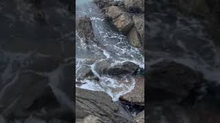 【23 11 10】【自然音】夕方の浜辺の岩場　3 #beach #波の音