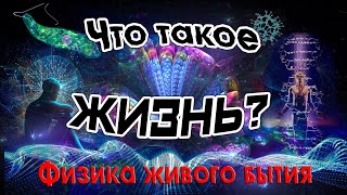 Что такое жизнь ?