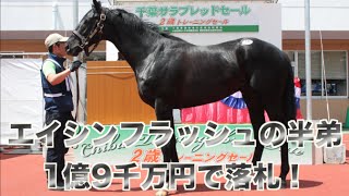 【競馬】エイシンフラッシュの半弟が1億9千万円で落札／千葉サラブレッドセール - netkeiba.com -