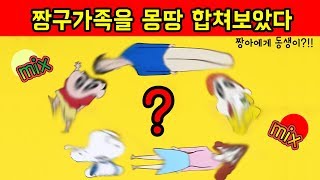 [Mix꽁] 짱아에게 동생이!? 이번엔 가족이다!!  짱구네 가족을 몽땅 섞어보았다