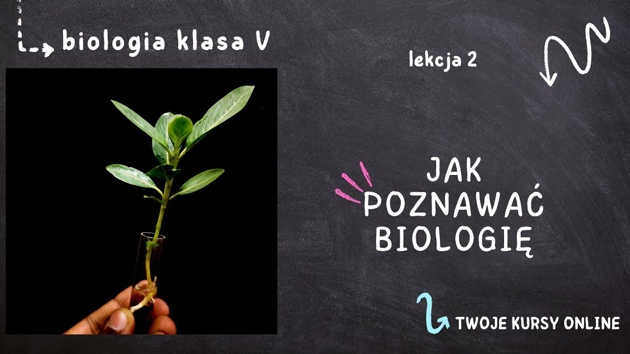 Biologia Klasa 5 [Lekcja 2 - Jak Poznawać Biologię] - YouTube