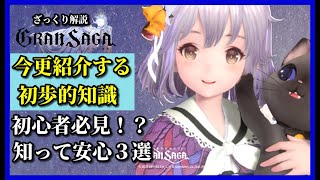 【グランサガ】知っておきたい初歩的知識３選を今更紹介するにゃ。【GranSaga】