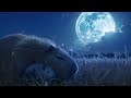 Capybara Relax Sleep Meditation Music  (1Hour) - quite moonlight night