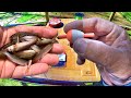 Slip Corkin' For Monster Crappie! How To Rig A Slip Bobber & Minnow