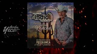 Arriba Yecora / Manuel El Indio Ortega (En Vivo Desde Atil 2021)