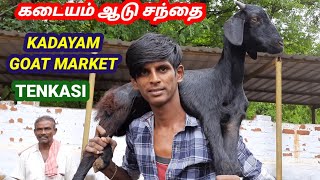 கடையம் ஆடு சந்தை - Kadayam Goat market - TENKASI- @tamilvivasayi