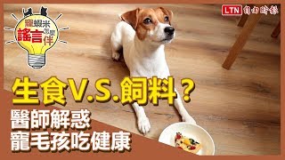 生食V.S.飼料？  醫師解惑寵毛孩吃健康