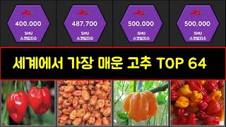 세계에서 가장 매운 고추 순위 TOP 64 l Hottest Peppers in the world