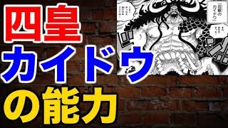 【ワンピース 考察】四皇 百獣のカイドウの能力