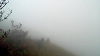 Playtube Pk Ultimate Video Sharing Website