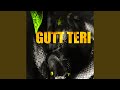 Gutt Teri (feat. Vsinghs, Pavvan & Keetview$)