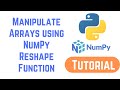 Python NumPy Tutorial For Beginners - How to Manipulate Arrays | NumPy Reshape Function (Part 1)