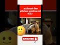 සුනඛයෙක් 🤣 සමග ලින්ගිකව එක් වු ඇන්ටි 🤣 funny meme memes shorts