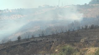 Zjarri ‘pushton’ Lushnjen, digjen 30 ha tokë me ullishte dhe bimësi