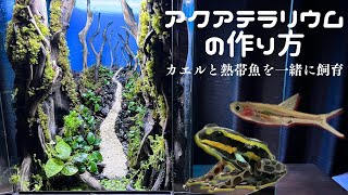 熱帯魚とカエルの飼育ケージ制作| アクアテラリウムの作り方